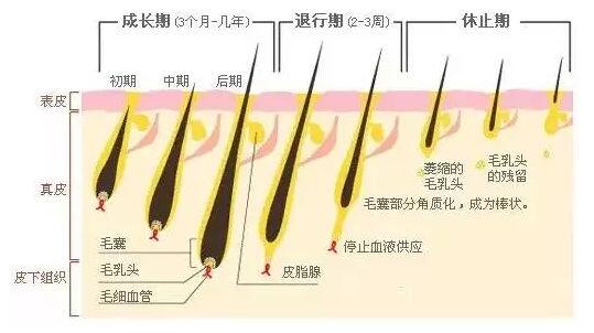 天津利来国际做激光脱毛的价格高吗