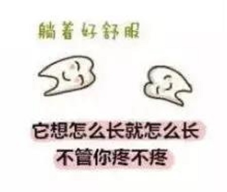 智齿
