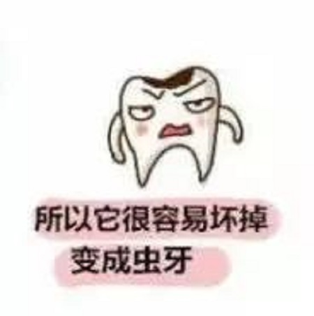 智齿