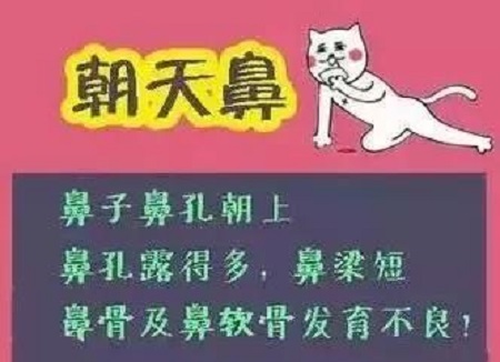 假体隆鼻