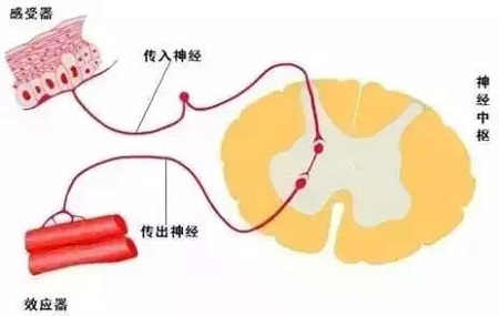 闻香识女人