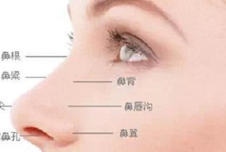 注射隆鼻和假体隆鼻哪种好